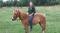 Super poney à vendre, 950$ NEGOCIABLE 