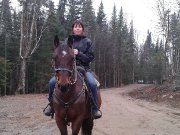 VENDU MERCI !Prix réduit - Cheval de randonnée à vendre 900$