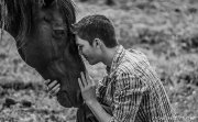 Photographie Equestre (Epona Photographie)