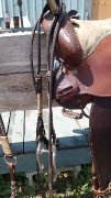 Selle western (baril)