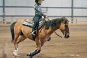Superbe Qh à vendre