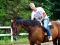 Demi-pension jument standardbred