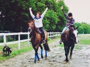Demi-pension jument standardbred