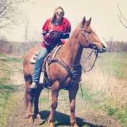 CHEVAL DÉBUTANT POUR TOUTE LA FAMILLE!!! 