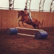 CHEVAL DÉBUTANT POUR TOUTE LA FAMILLE!!! 