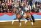 Super lignée de dressage FLORENCIO I-DAVIGNON I-...