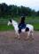 Beau guilding 8ans