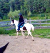 Beau guilding 8ans