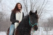Demi-Pentsion arabeXCanadien Cheval  au coeur de laval