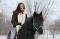 Demi-Pentsion arabeXCanadien Cheval  au coeur de...