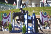 **Large pony à vendre** À voir!