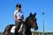 **Large pony à vendre** À voir!