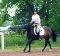 **Large pony à vendre** À voir!