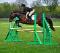 **Large pony à vendre** À voir!