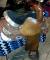 Selle de show de marque Tex Tan