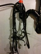 Equipement de dressage à vendre