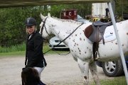 Selles Western et Classique (Usagées mais en bon état) 
