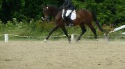 Je suis à sa recherche, j'aimerais avoir des nouvelles :) - année 2012