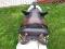 Selle Australienne