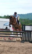 Cours d'équitation - entrainement - compétitions