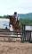 Cours d'équitation - entrainement - compétitions