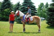 Cours d'équitation - entrainement - compétitions