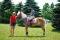Cours d'équitation - entrainement - compétitions