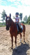 Cours d'équitation - entrainement - compétitions