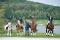 Cours d'équitation - entrainement - compétitions