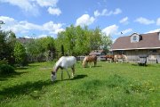 Domaine à vendre avec maison de 22 pièces + écurie + champ 