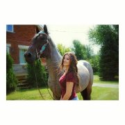 Guilding QH bleu rouan