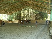 PARTENAIRE POUR COURS D'ÉQUITATION - ORFORD