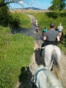cours d'équitation