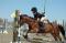 Superbe ponette à vendre!!