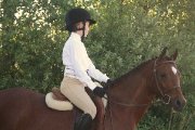 Superbe ponette à vendre!!