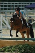Superbe ponette à vendre!!