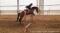 Thoroughbred de 7 ans très flashy !! URGENT