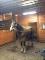 Thoroughbred de 7 ans très flashy !! URGENT