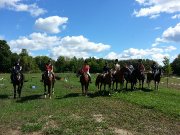 pension pour chevaux à St-Eustache
