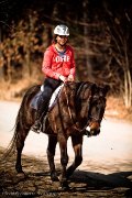 RECHERCHE demi pension Chaudière-Appalaches