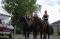Pension pour chevaux de selle western, Rive-sud...