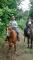 Pension pour chevaux de selle western, Rive-sud...