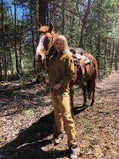 Pension pour chevaux de selle western, Rive-sud...