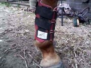 ÉQUIPEMENTS ET SELLE WESTERN