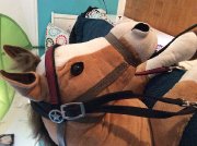 Bride pour un cheval de 15 a 16 mains