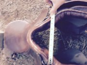 SELLE DE DRESSAGE