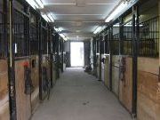 Pension pour chevaux à louer