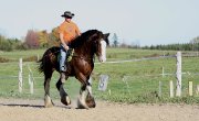 Demi-pension à Sainte-foy sur cheval de randonnée