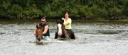 Demi-pension à Sainte-foy sur cheval de randonnée - Baignade
