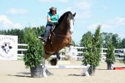 Saut d'obstacle